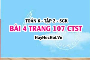 Giải bài 4 trang 107 Toán 6 Tập 2 Chân trời sáng tạo